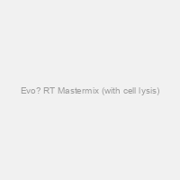 Evo? RT Mastermix (with cell lysis)